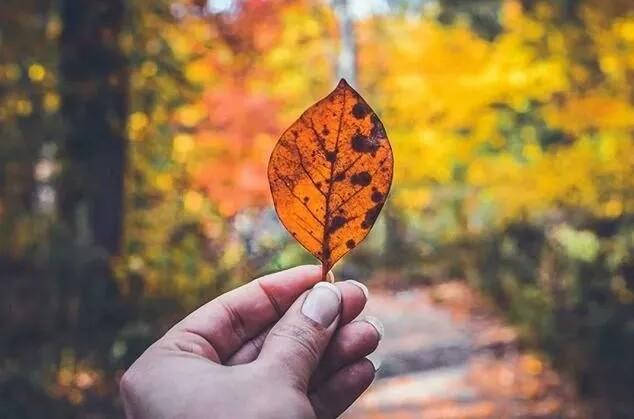 10条经典的阳光句子，相信自己，终能破茧成蝶！(图3)