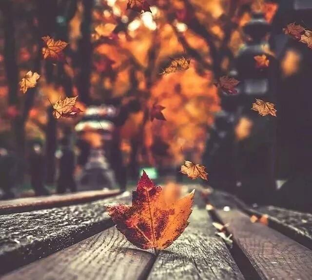 10条经典的阳光句子，相信自己，终能破茧成蝶！(图4)