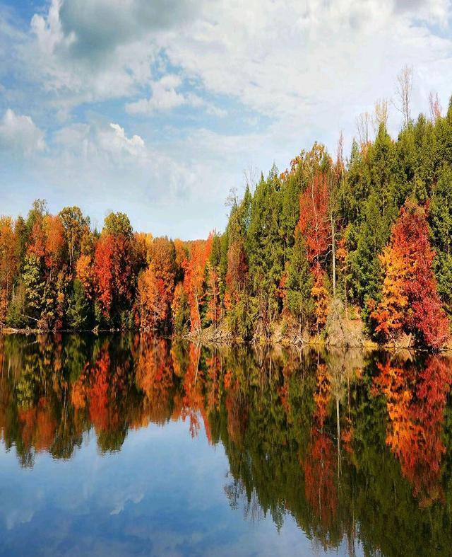 20句闲适安逸、惬意自在的绝美诗词，读来非常解压(图1)