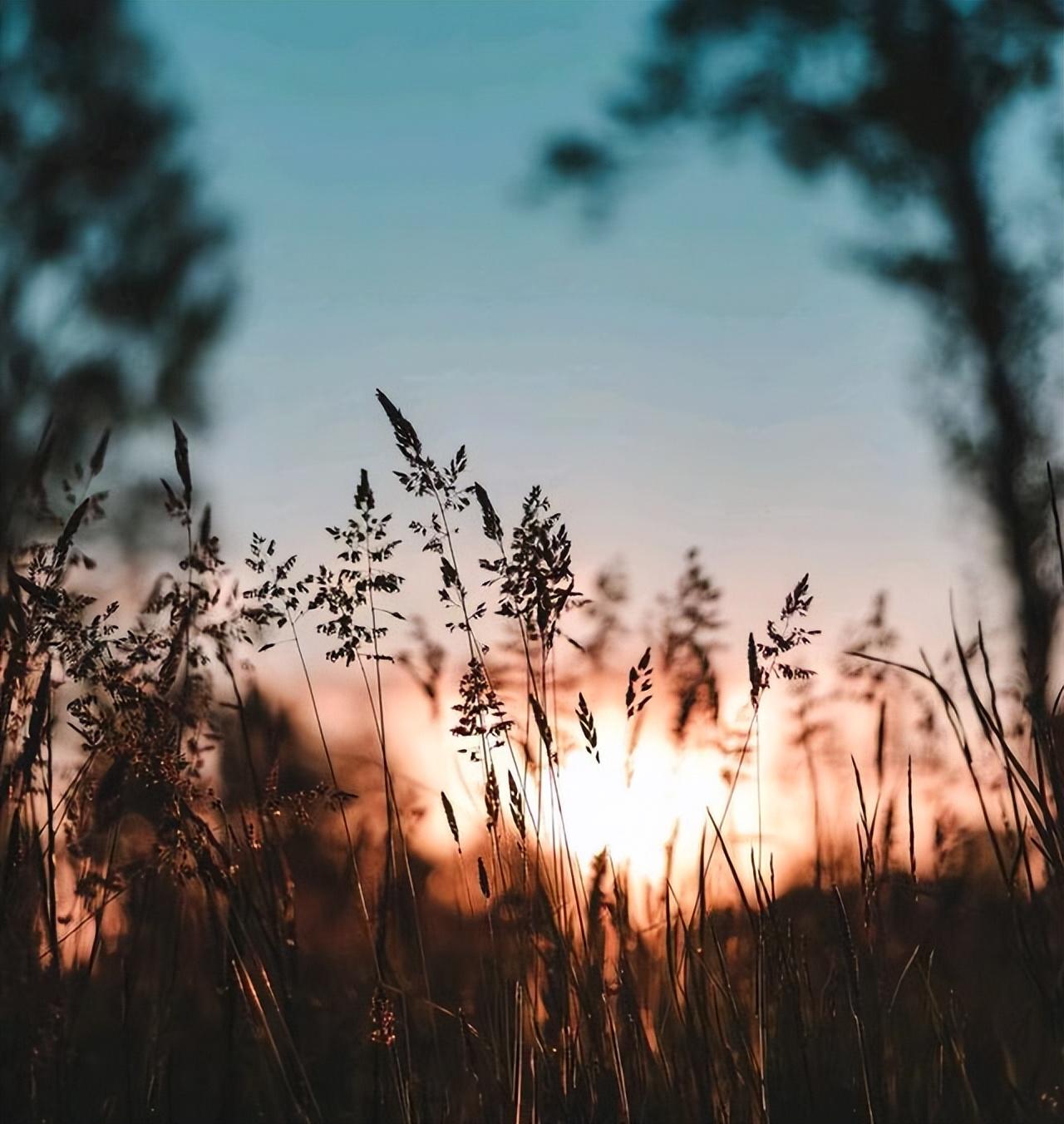 20句闲适安逸、惬意自在的绝美诗词，读来非常解压(图4)