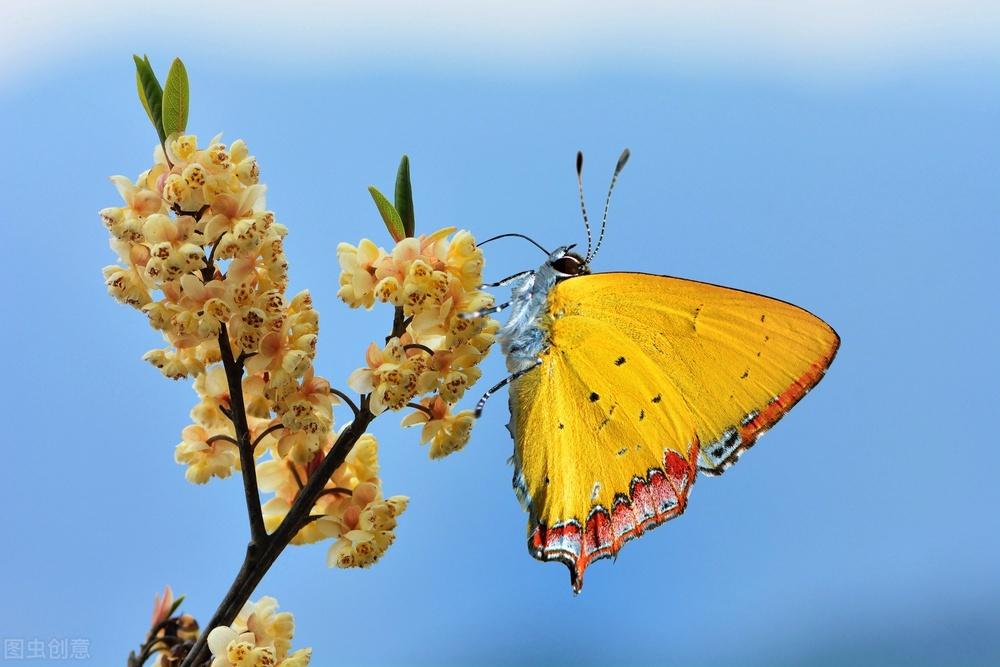 关于无忧无虑的唯美句子（精选20句）(图3)