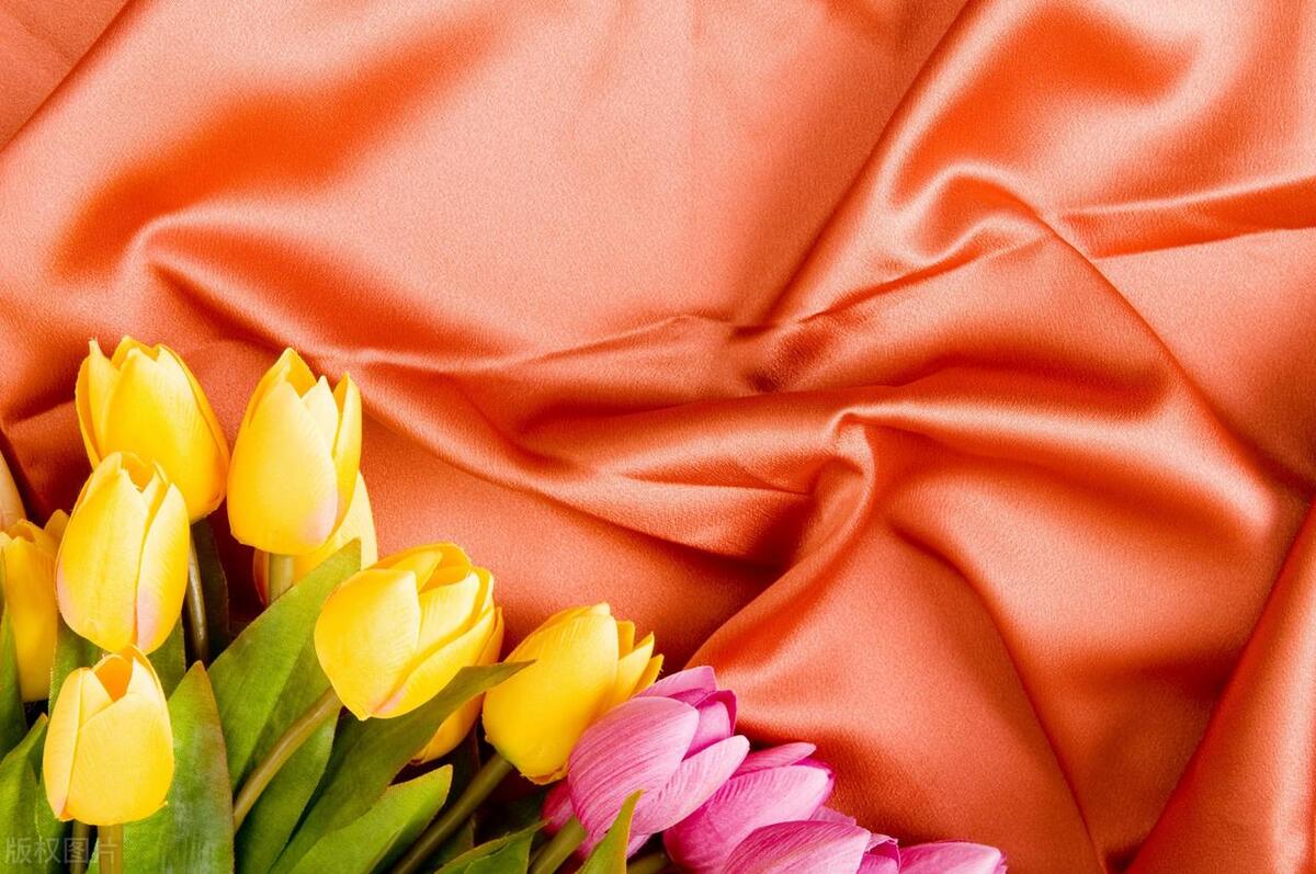 爱情情话短句（深情回味的唯美短句）(图2)