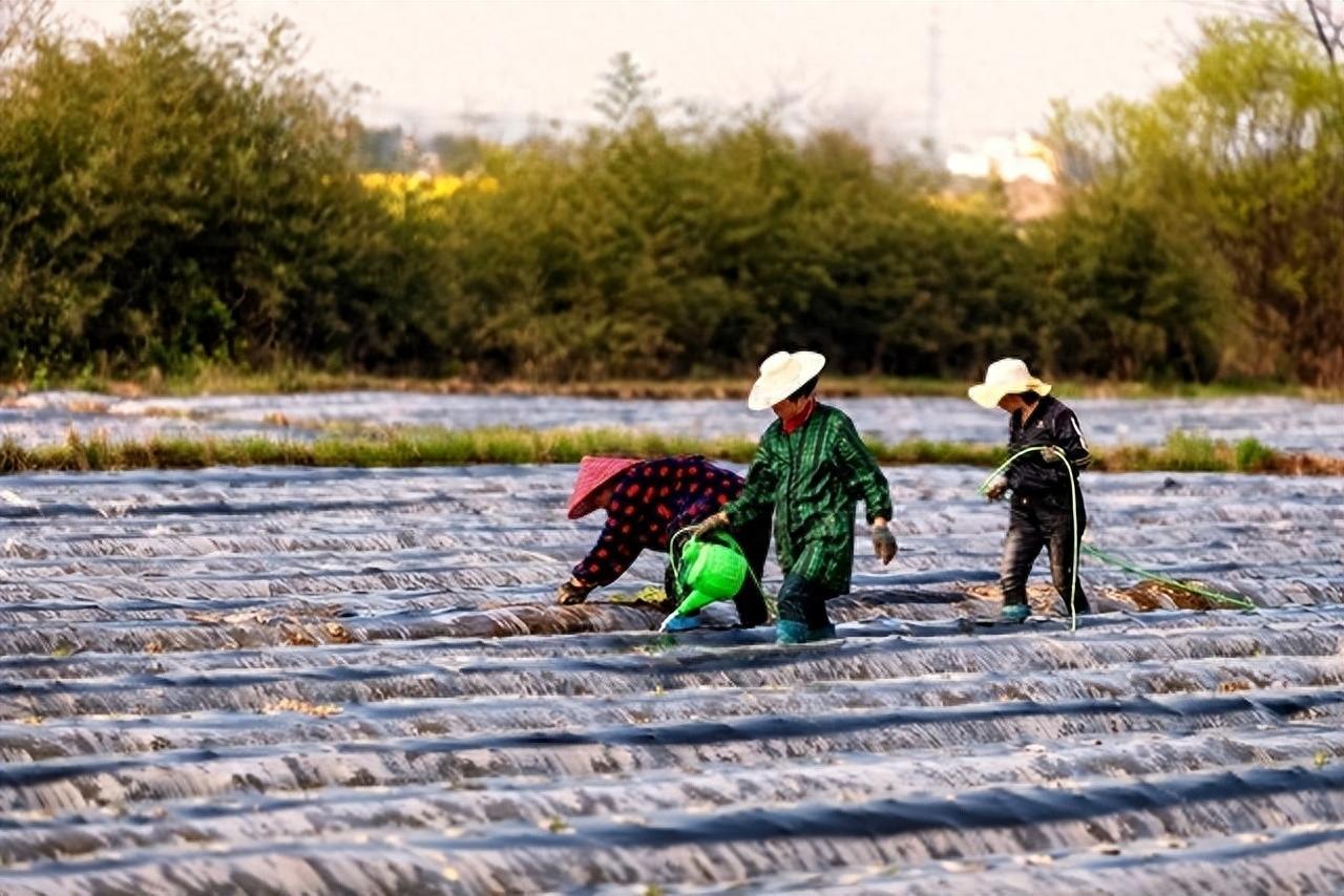 很暖心的爱情说说，句句深情，看完想恋爱了！(图4)
