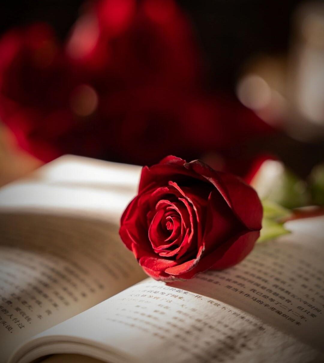 深情撩人情话小短句，让情侣之间的爱意更加浓烈(图2)