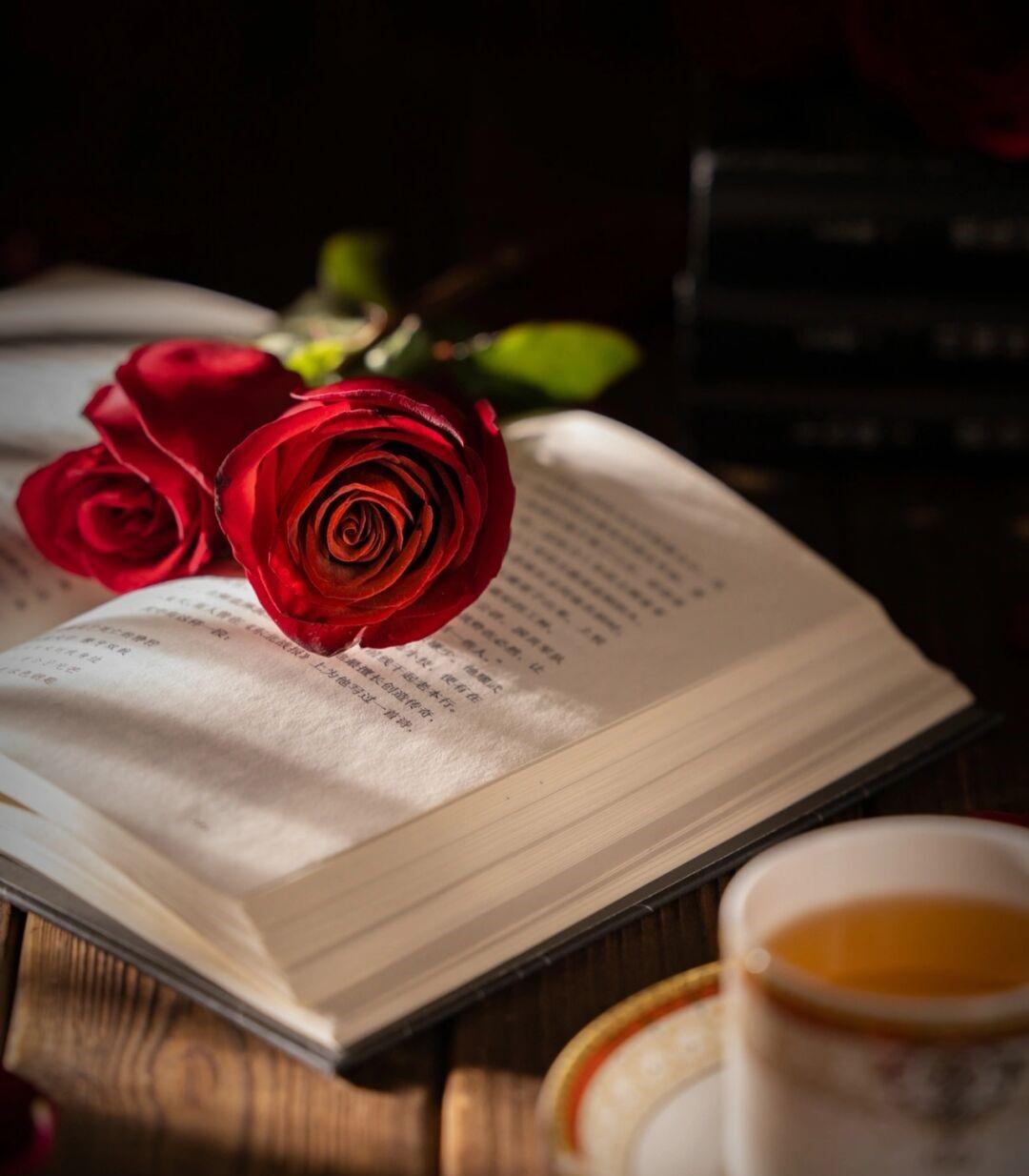 深情撩人情话小短句，让情侣之间的爱意更加浓烈(图3)