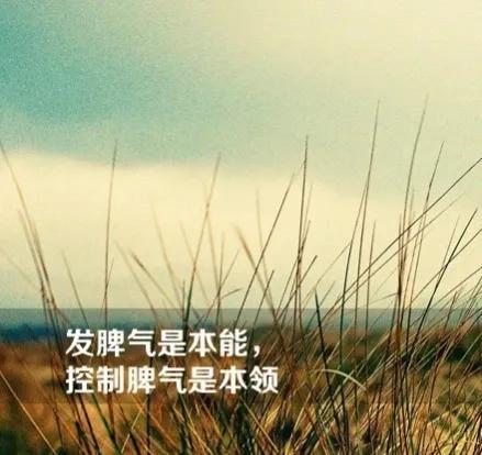 大道至简、透彻人心的句子(图1)