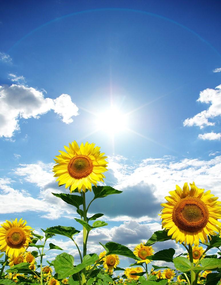 不要和陌生人说话，怕识人不清，但坚信生活美好，因它有梦可追(图4)