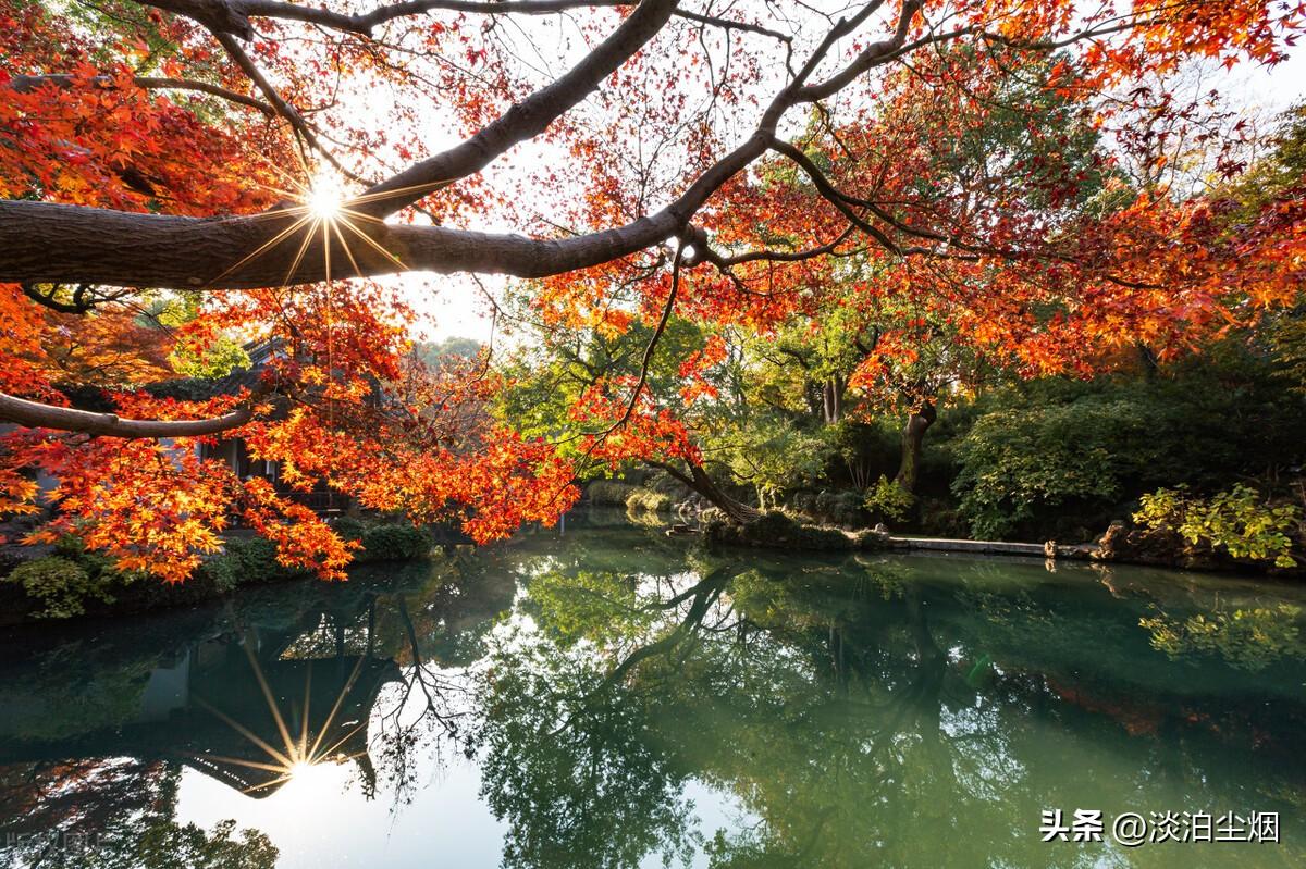 保持自身慧根：不要活在别人的眼光里(图4)