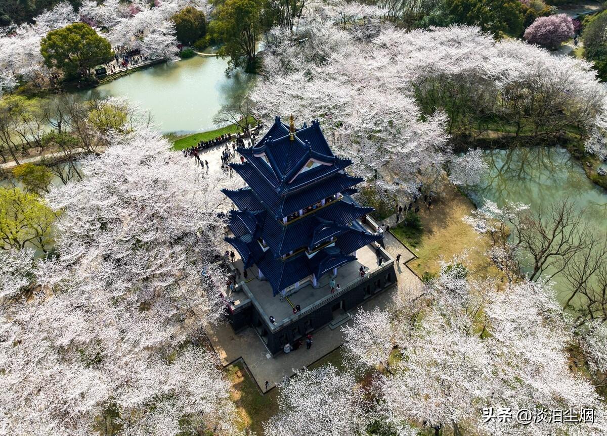 保持自身慧根：不要活在别人的眼光里(图5)