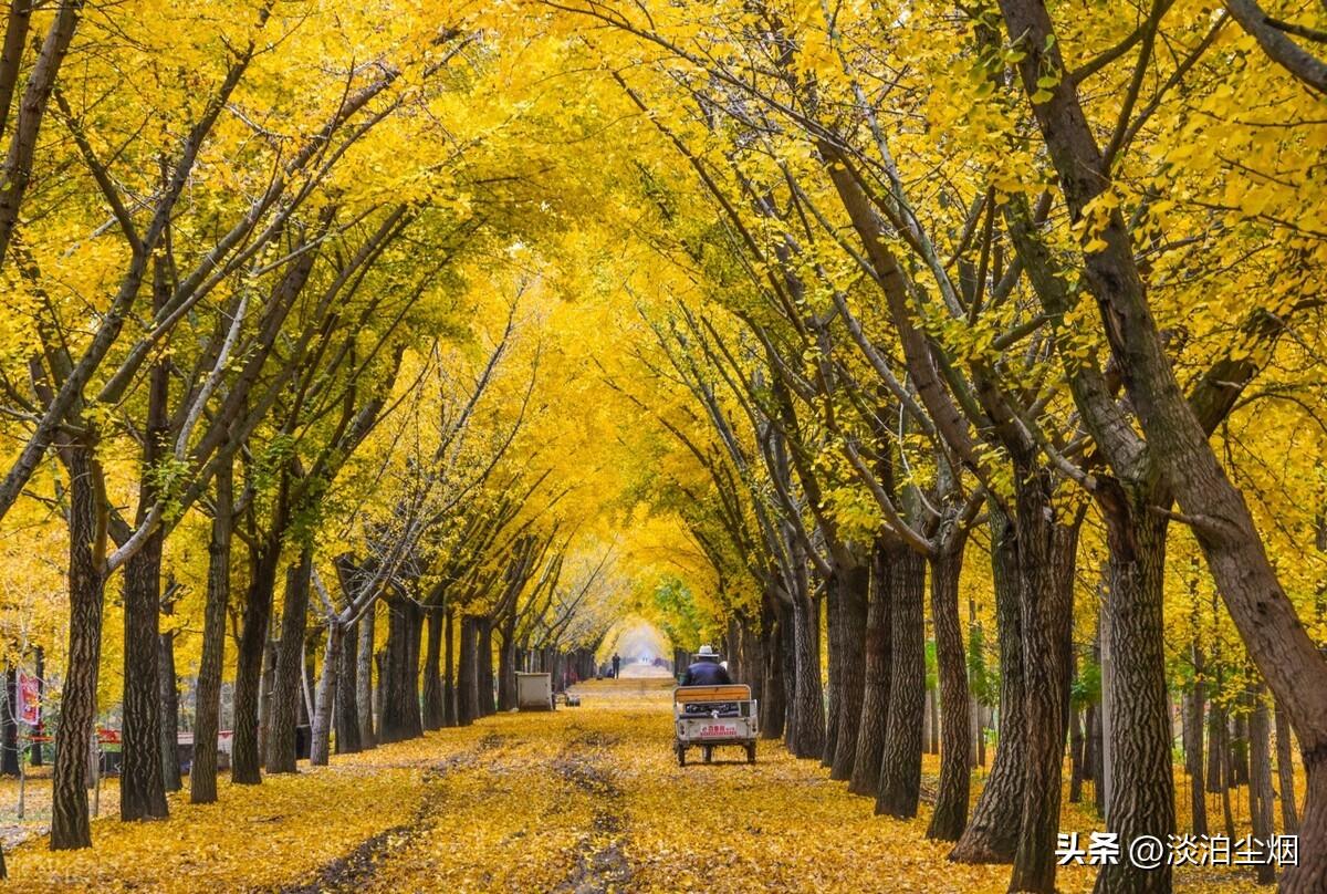 保持自身慧根：不要活在别人的眼光里(图6)