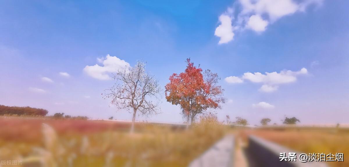 保持自身慧根：不要活在别人的眼光里(图7)