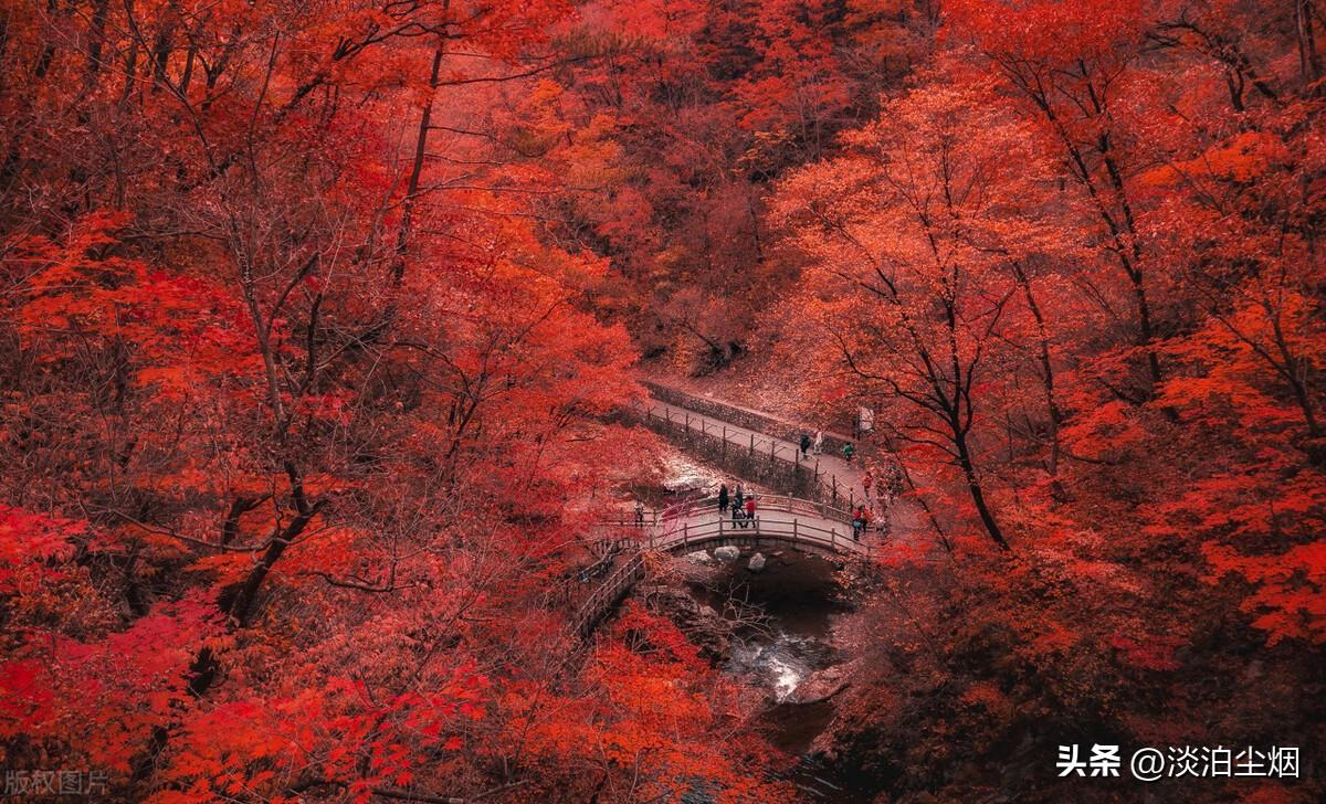 保持自身慧根：不要活在别人的眼光里(图8)