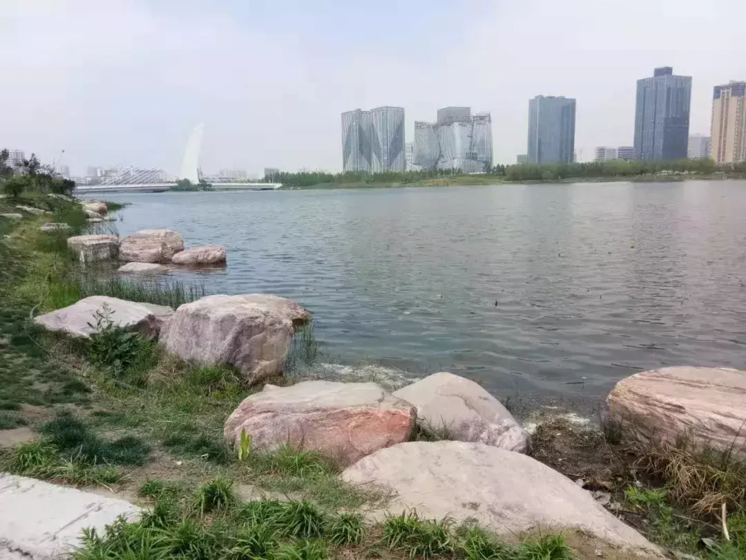 待我了无牵挂，从此归隐天涯；深山茅屋为家，远离城市繁华(图3)