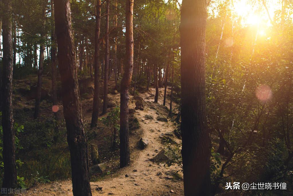 一位隐居世外的高人，写了一首很有哲理的诗，短短的几句意境高远(图3)