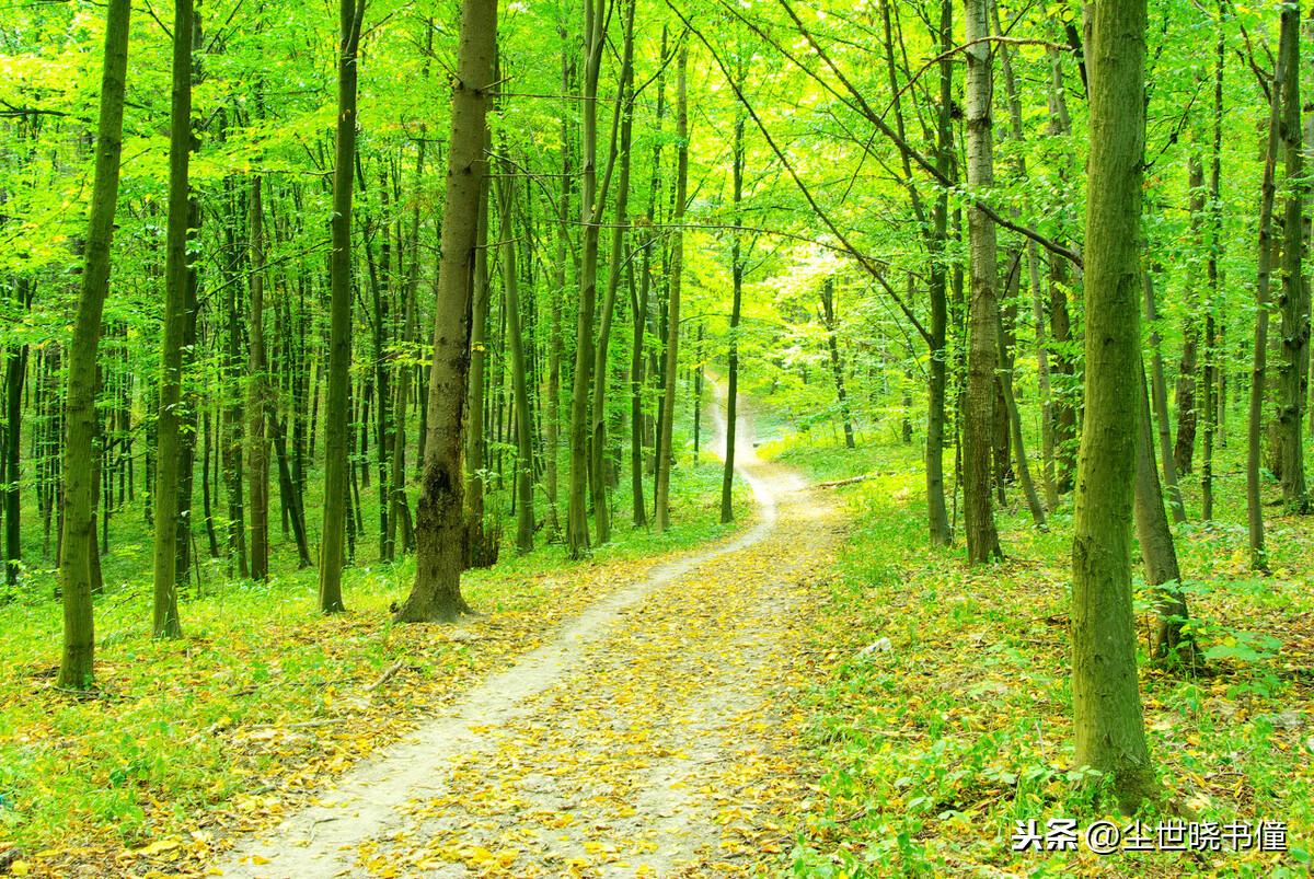 一位隐居世外的高人，写了一首很有哲理的诗，短短的几句意境高远(图5)
