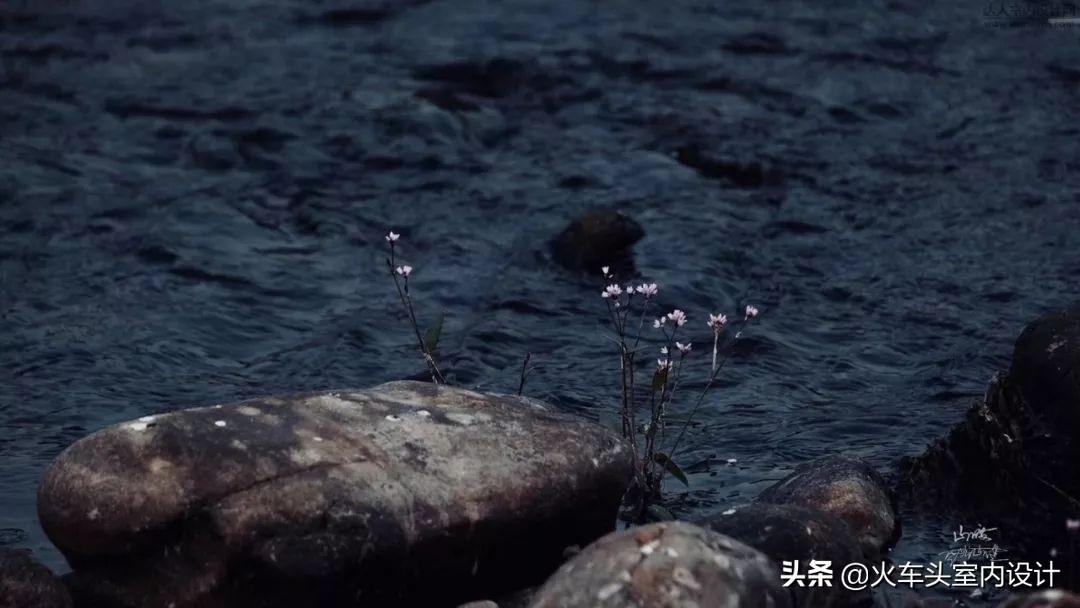 归隐山林，闲云野鹤，这真的是我最向往的生活(图13)