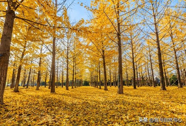 描写大自然风景的唯美句子!(图6) 描写大自然风景的唯美句子!(图6)