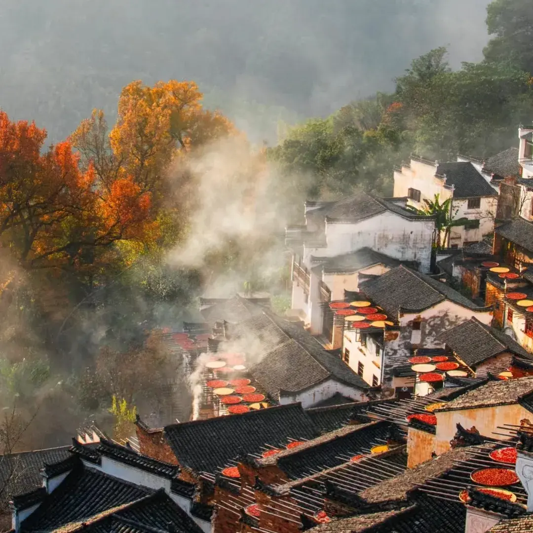 轻描淡写乡间自然风光的美好句子(图2)