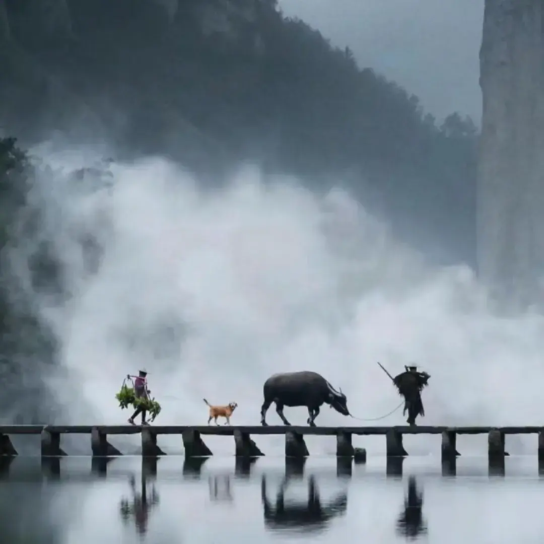 轻描淡写乡间自然风光的美好句子(图7)