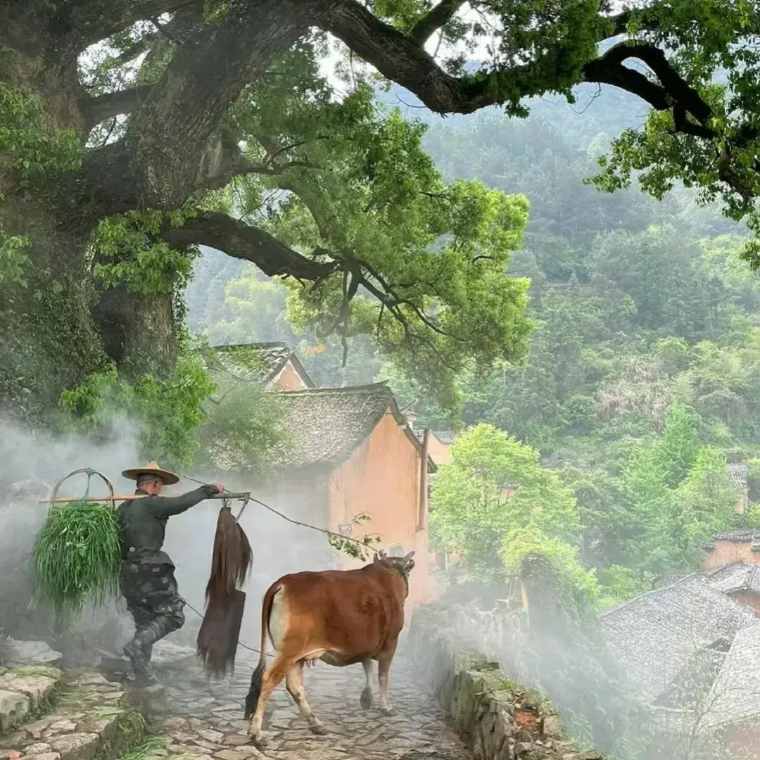 轻描淡写乡间自然风光的美好句子(图10)