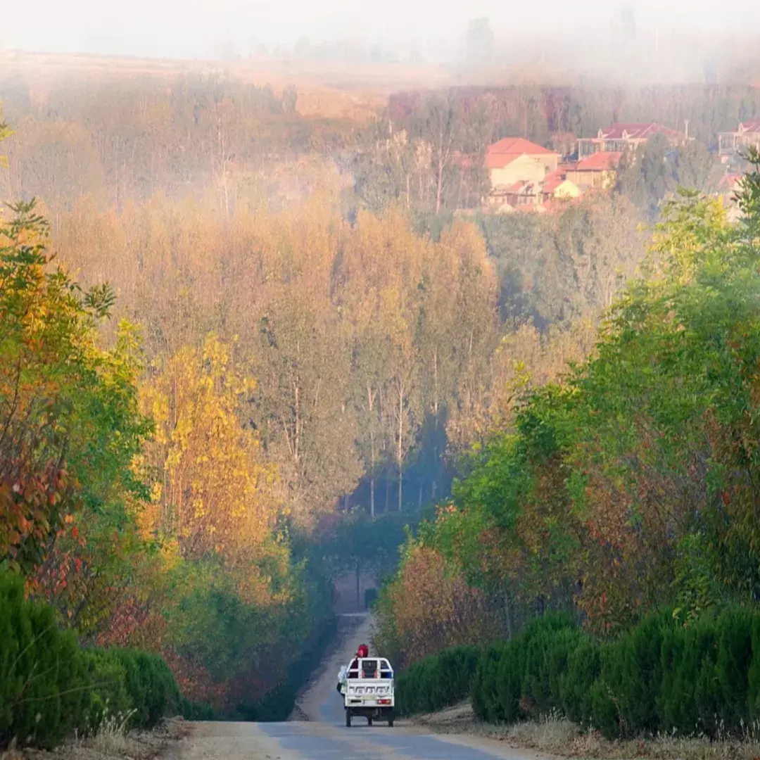 轻描淡写乡间自然风光的美好句子(图13)