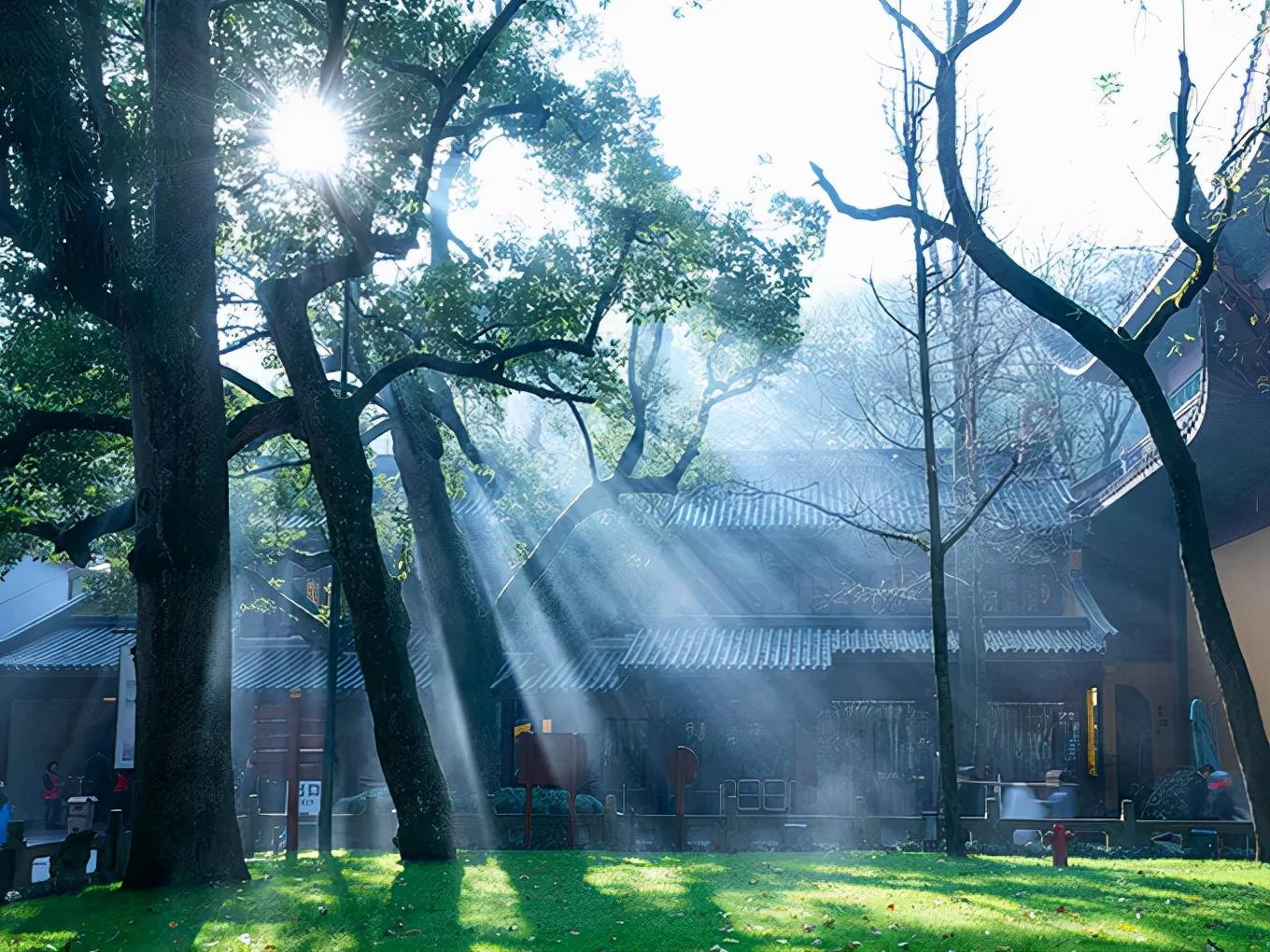 一花一草一世界，一风一雨一人生(图2)