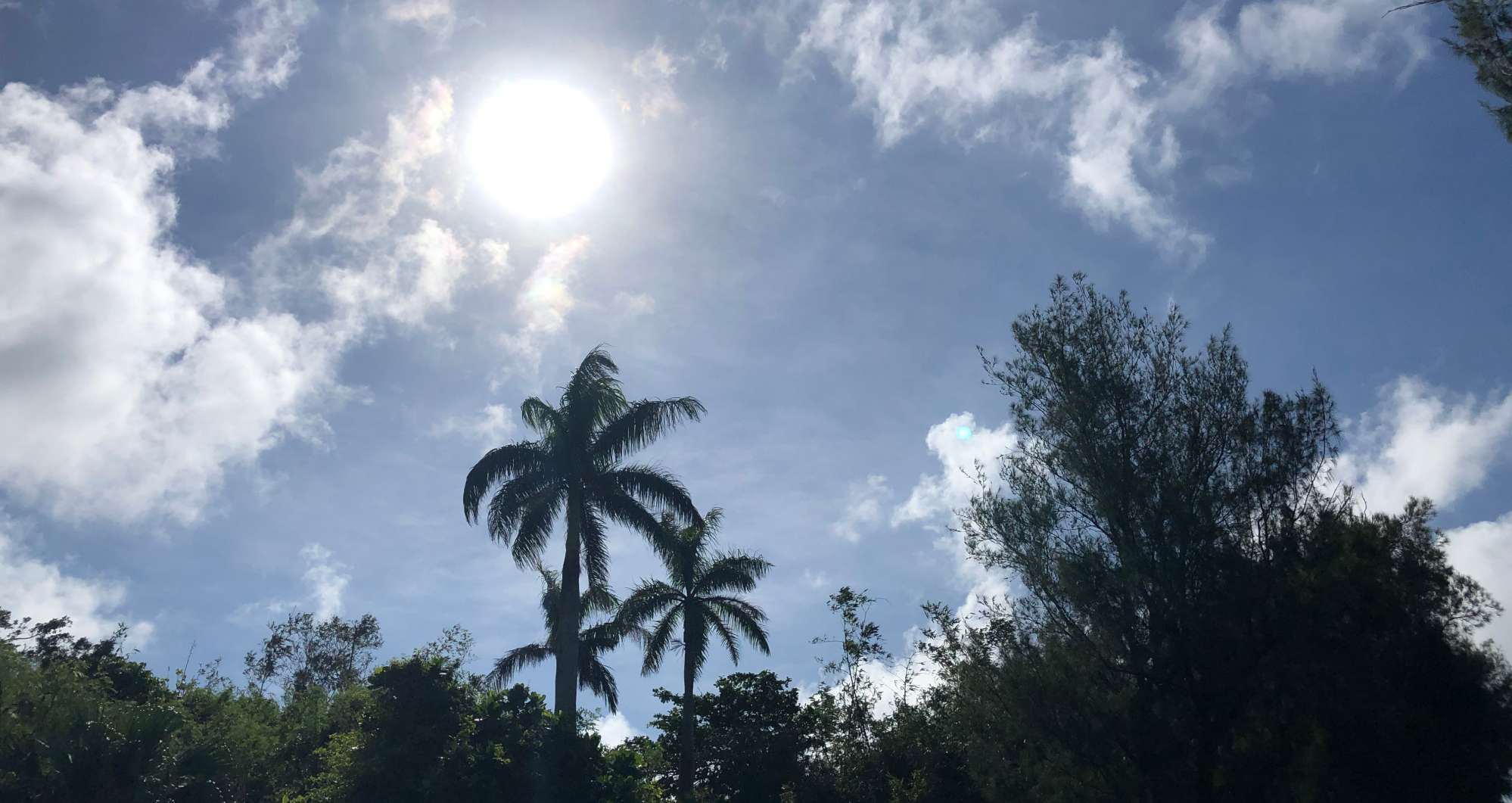 鹅銮鼻公园：宝岛最南，留下无数青春的爱恋(图2)