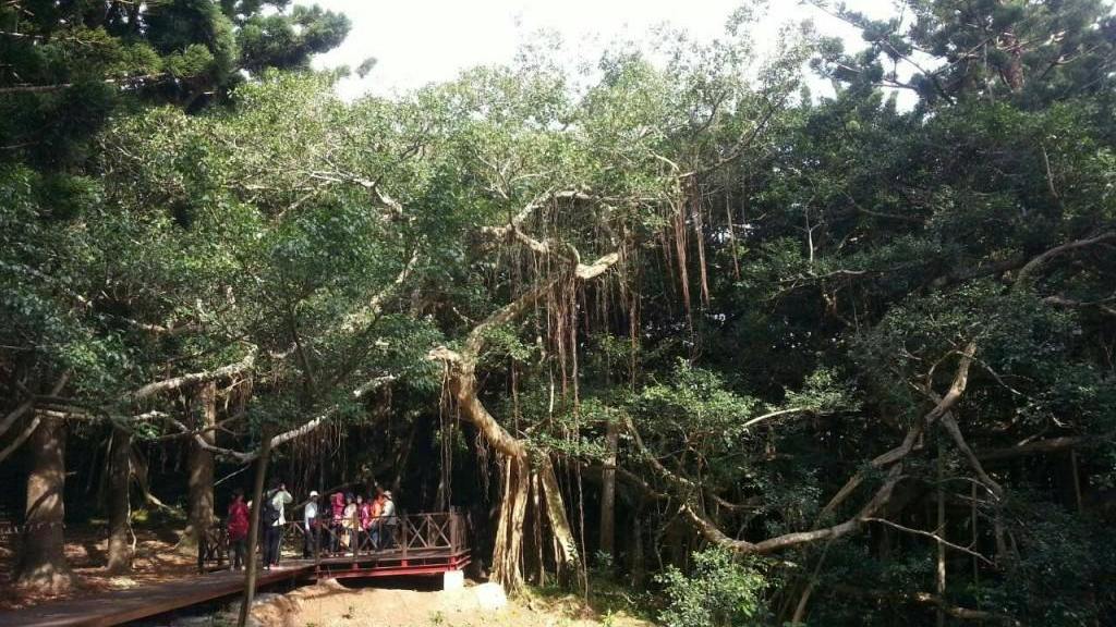 鹅銮鼻公园：宝岛最南，留下无数青春的爱恋(图9)