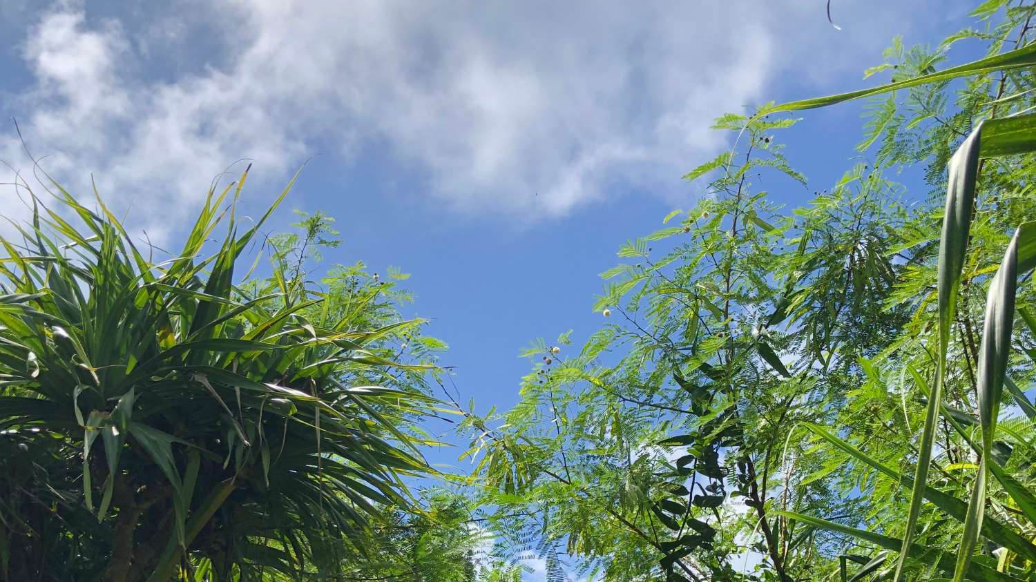 鹅銮鼻公园：宝岛最南，留下无数青春的爱恋(图14)