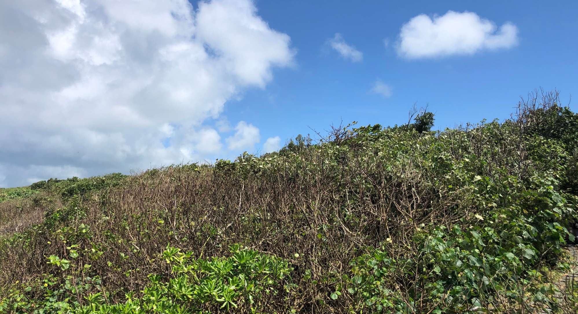 鹅銮鼻公园：宝岛最南，留下无数青春的爱恋(图16)