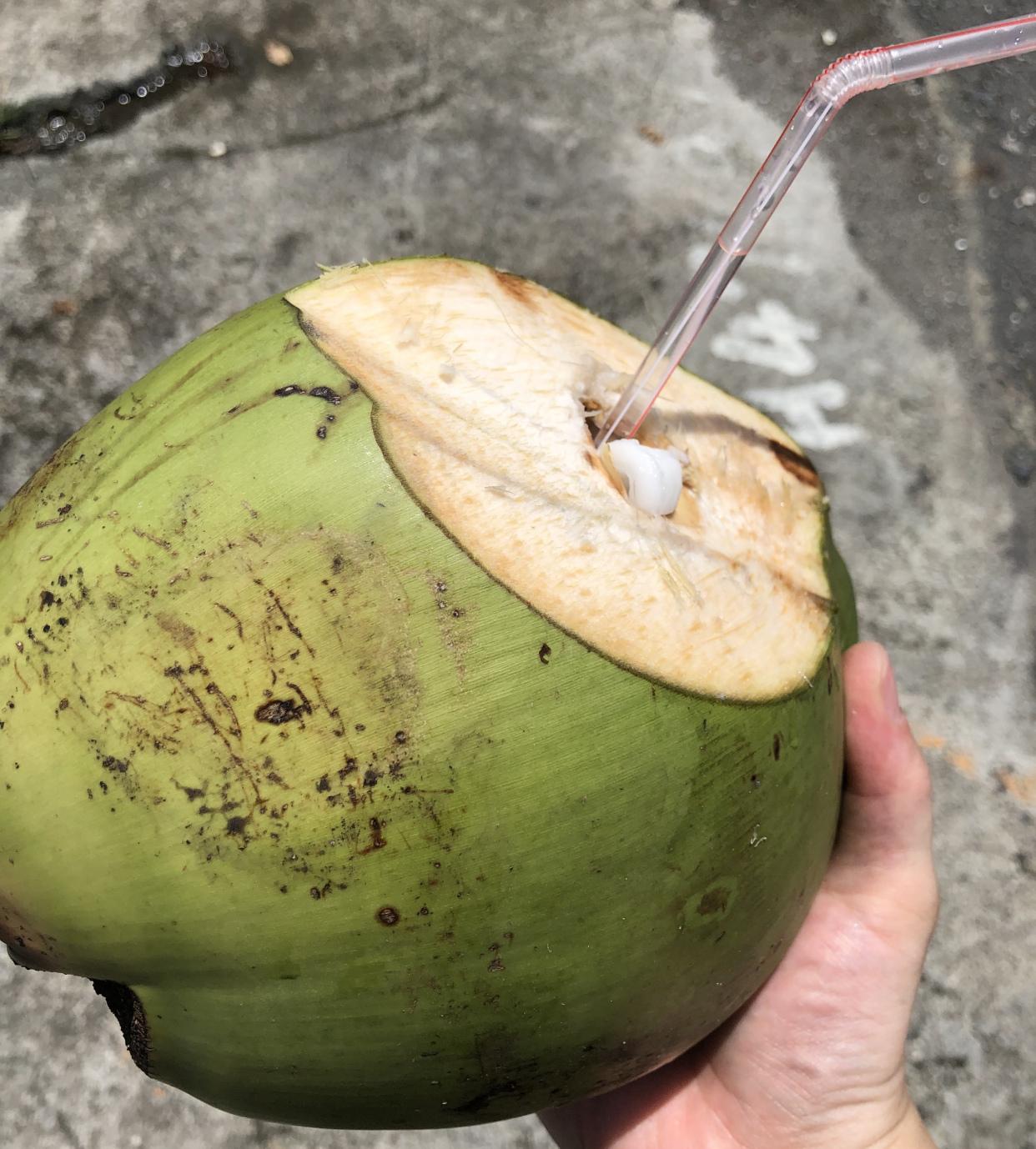 鹅銮鼻公园：宝岛最南，留下无数青春的爱恋(图17)