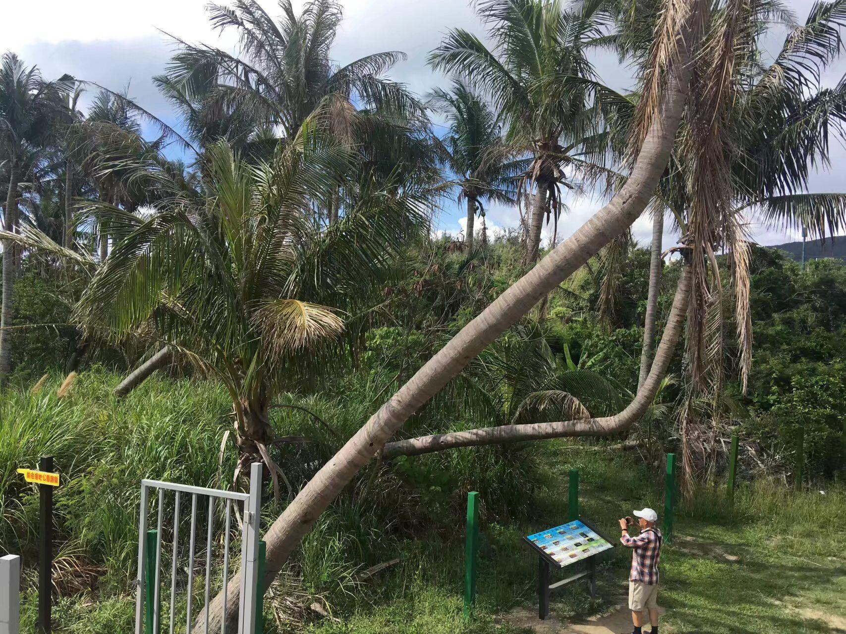 一个三面环海可以看到一洋两峡的地方(图6)