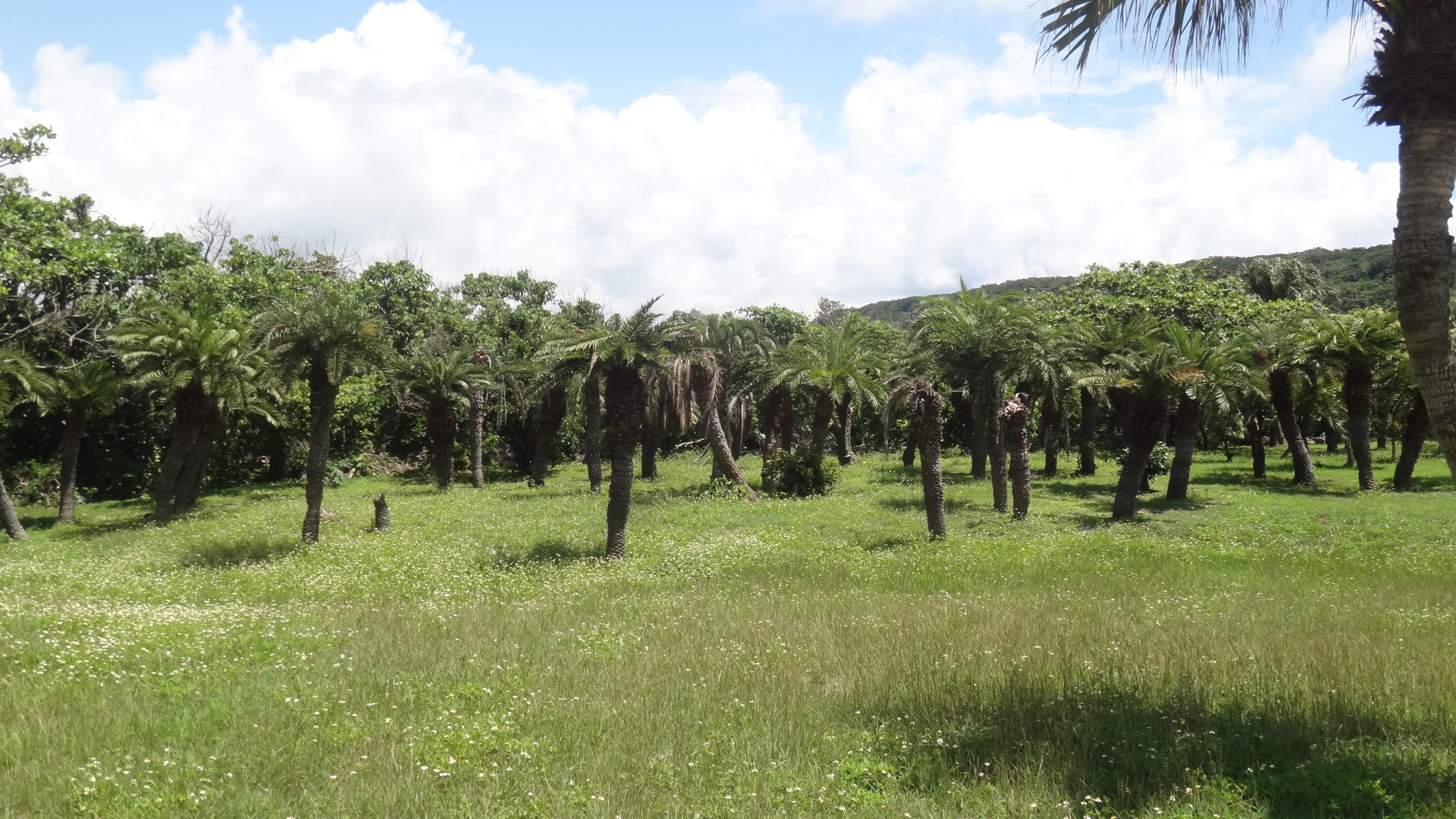 一个三面环海可以看到一洋两峡的地方(图18)