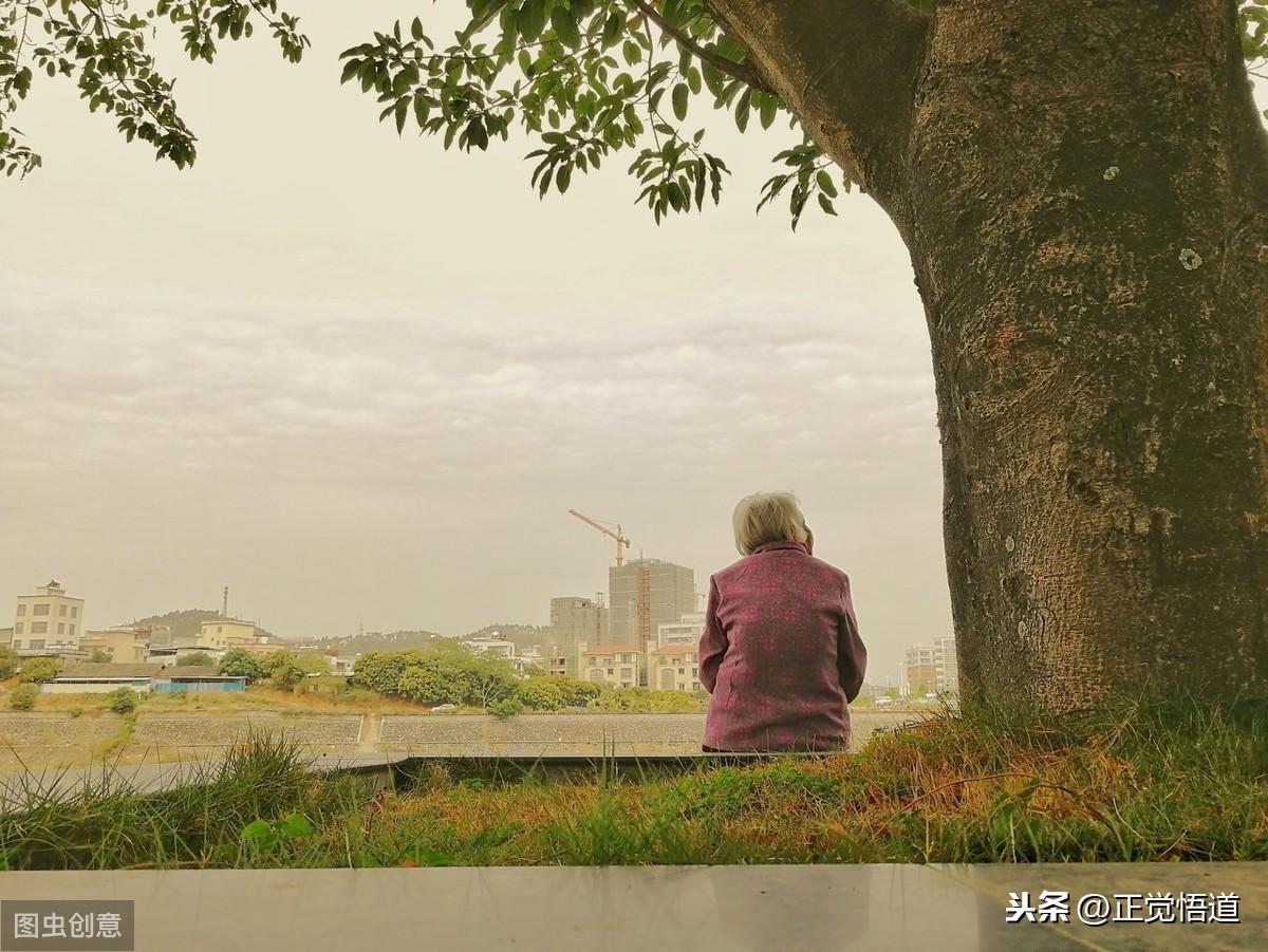 孝敬父母的名言(图7)