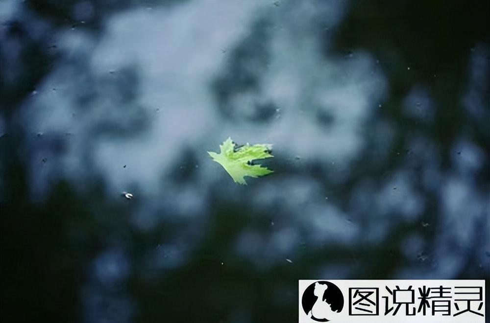 疼到骨子里心碎伤感地说说38句-图说精灵(图1)