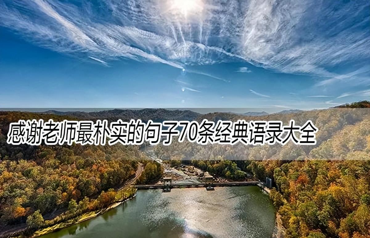 感谢老师最朴实的句子70条经典语录大全(图1)