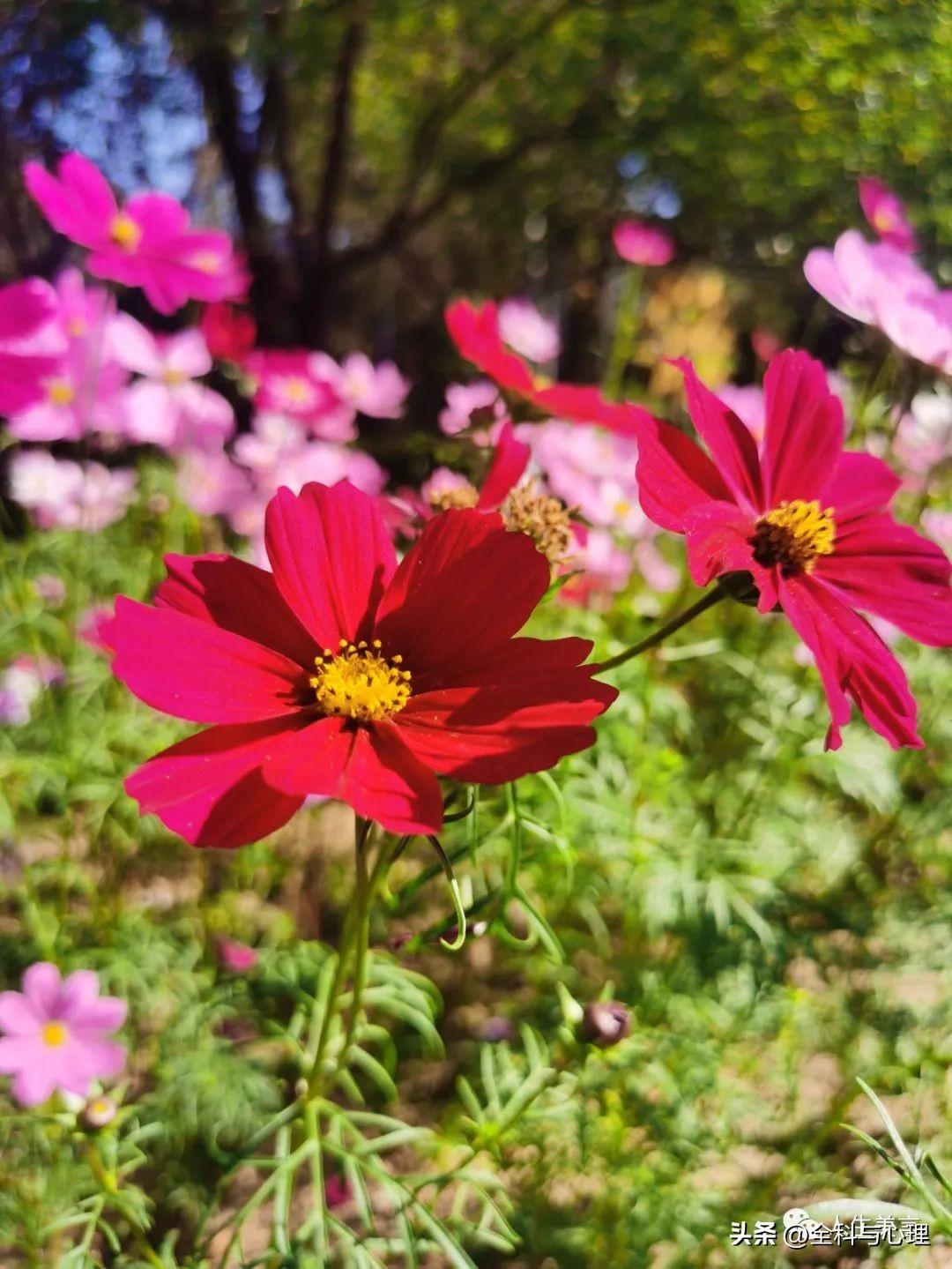 八字励志格言短句，座右铭简短霸气(图2)