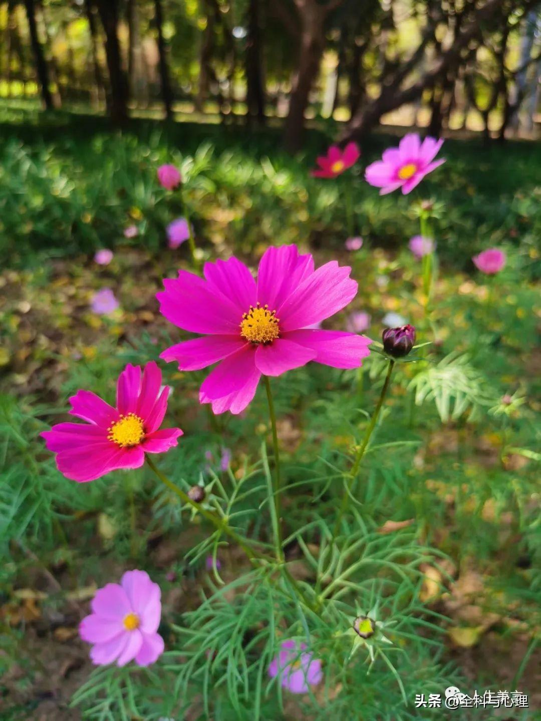 八字励志格言短句，座右铭简短霸气(图3)