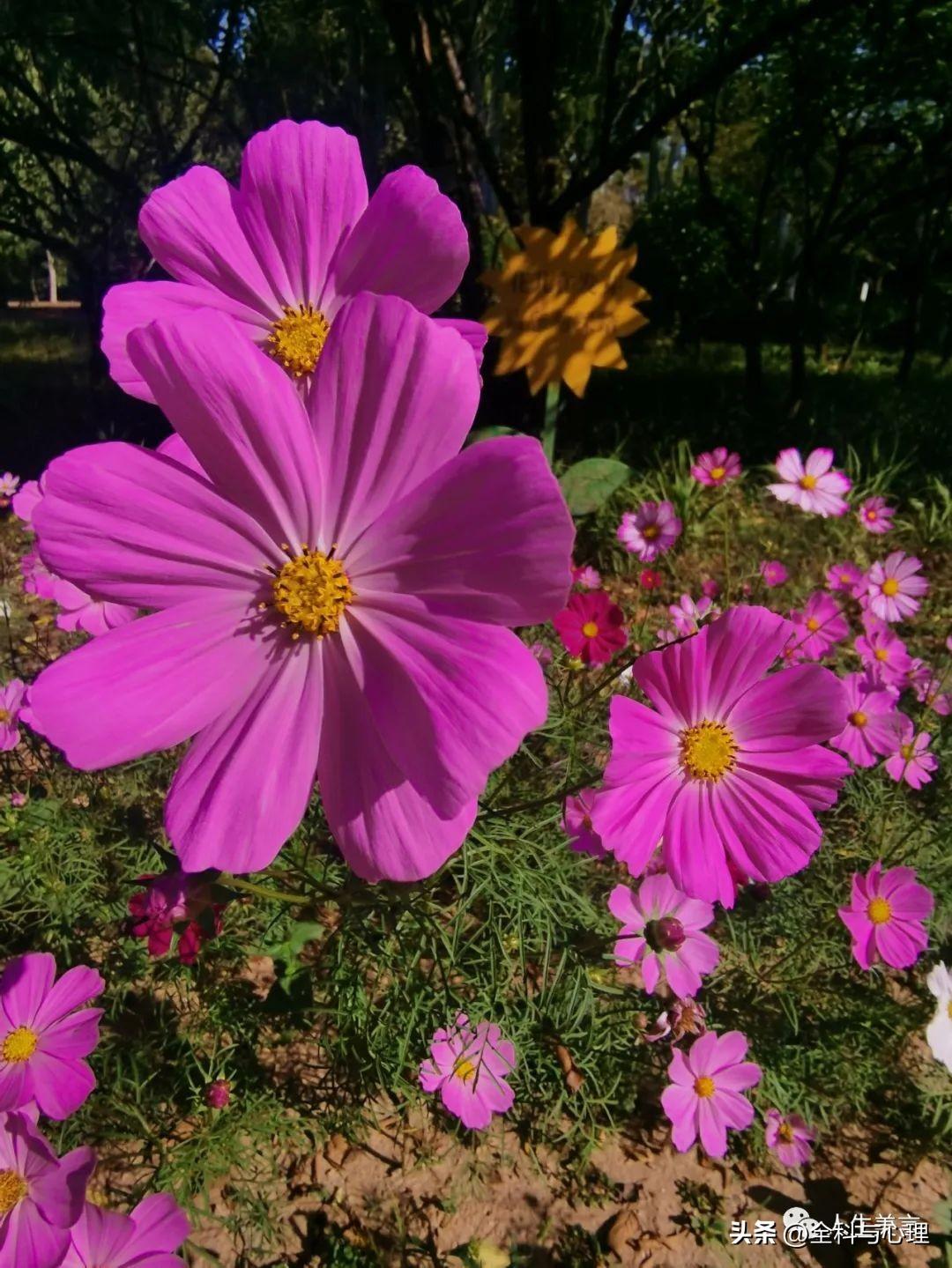 八字励志格言短句，座右铭简短霸气(图8)