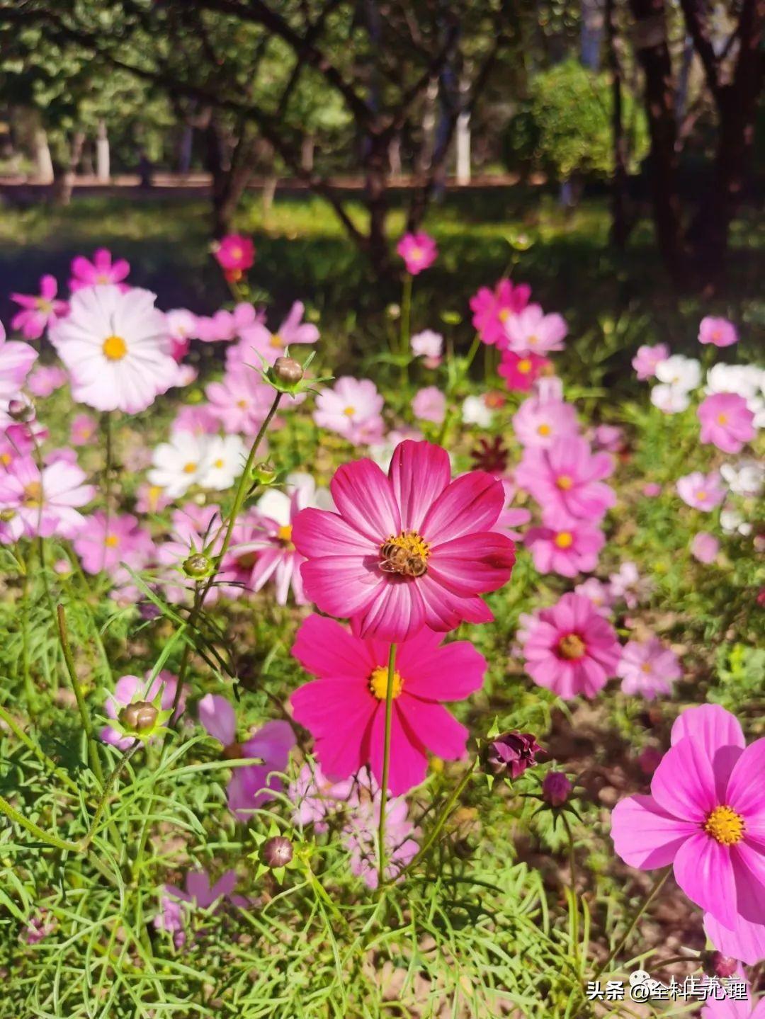 八字励志格言短句，座右铭简短霸气(图9)