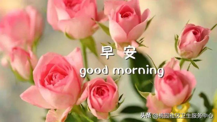 励志的句子致自己简短 励志的话简短霸气(图1)