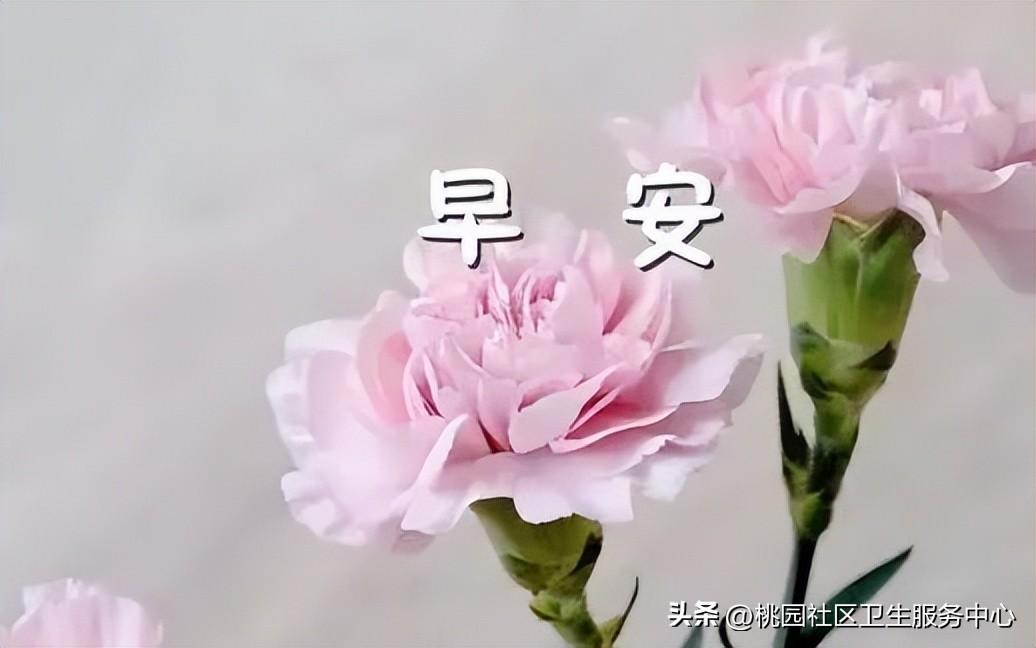 励志的句子致自己简短 励志的话简短霸气(图5)