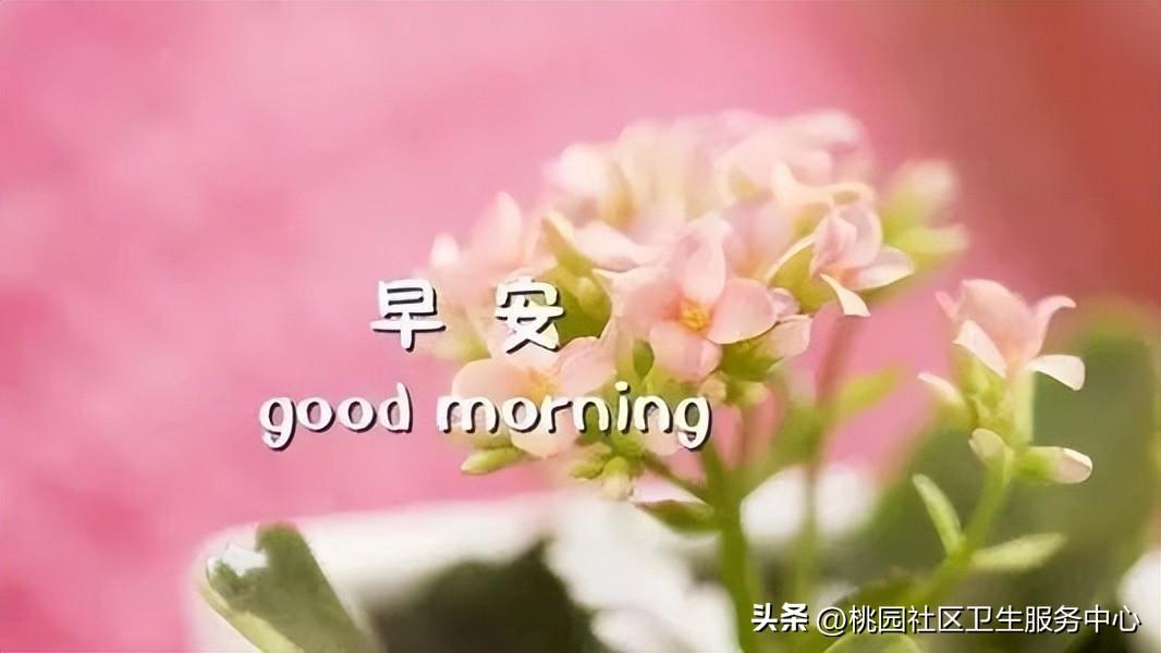 励志的句子致自己简短 励志的话简短霸气(图7)