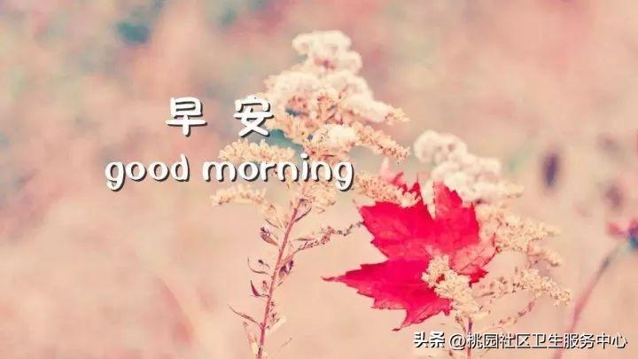 励志的句子致自己简短 励志的话简短霸气(图10)