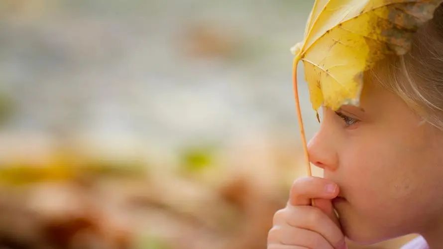 赞美宝宝的话:我童心未泯，感受宝宝们的纯真与可爱(图1)