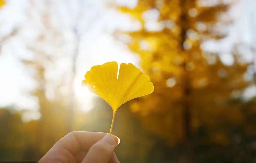 励志语录 有一种努力，叫靠自己(图4)