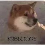 那些让人笑到窒息的电视剧台词，沙雕指数满天星(图13)