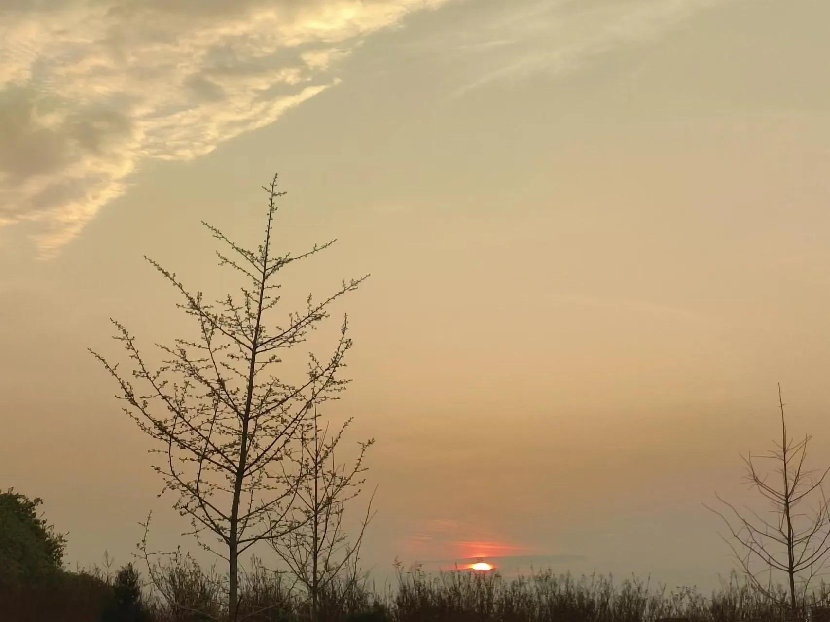 【冰心】经典语录，我最喜欢(图1)