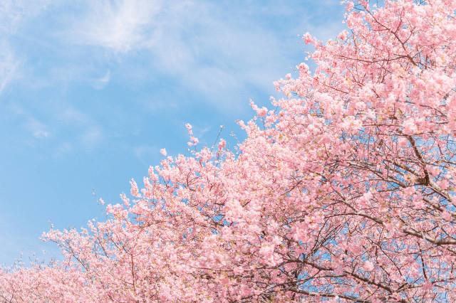 四月朋友圈精选文案 ｜ 三月再见，四月你好！(图2)