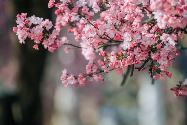 四月朋友圈精选文案 ｜ 三月再见，四月你好！(图3)